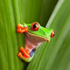 Meet your Posher, Beverly